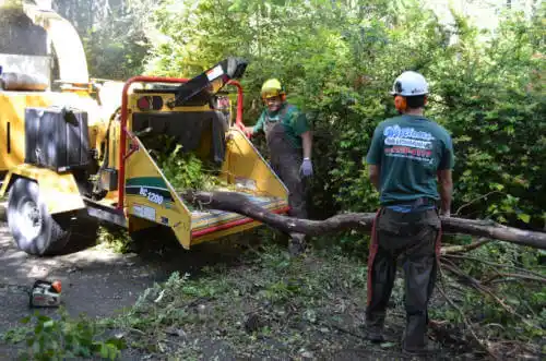 tree services Stanton